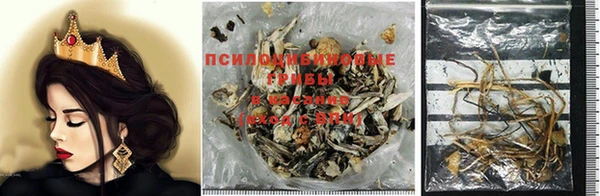 spice Алексин
