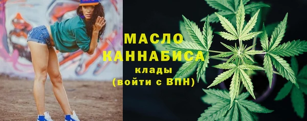 индика Россошь